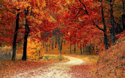 Herbstferien-Zeit