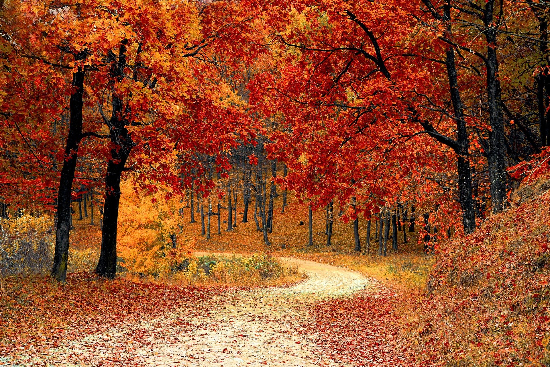 Bild Herbstferien